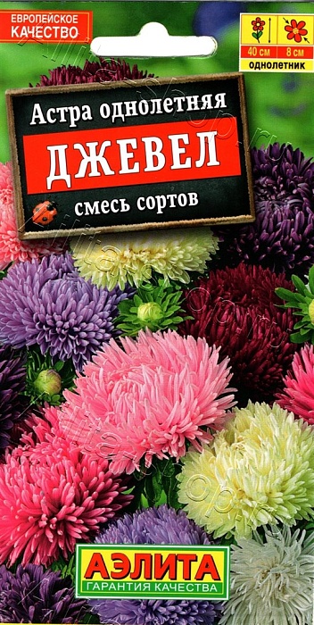 картинка Астра Джевел, смесь 0,2г ц/п (Аэлита) 40см,8см магазин Одежда+ являющийся официальным дистрибьютором в России 