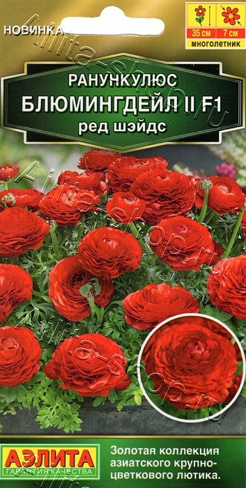 картинка Ранункулюс Блюмингдейл 11 F1 Ред Шэйдс 3шт ц/п (Аэлита) магазин Одежда+ являющийся официальным дистрибьютором в России 