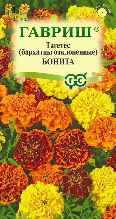 картинка Бархатцы Бонита 0,3г ц/п (Гавриш)  магазин Одежда+ являющийся официальным дистрибьютором в России 