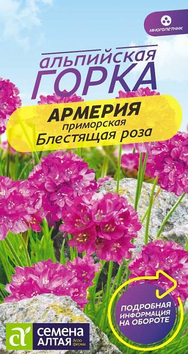 Армерия Блестящая роза приморская 0,03 ц/п (СемАлт) Новинка
