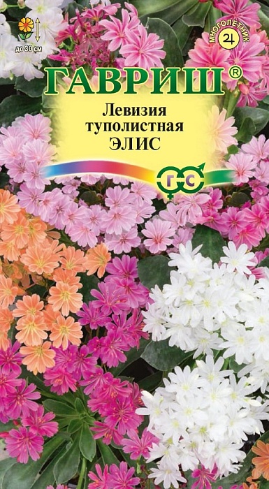 картинка Льюизия (Левизия) Элис туполистная 5шт ц/п (Гавриш) НОВИНКА магазин Одежда+ являющийся официальным дистрибьютором в России 