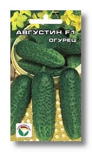 Огурец Адам F1 5шт (СибСад)