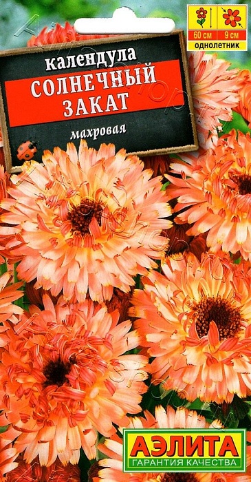 картинка Календула Солнечный закат 0,3г ц/п (Аэлита) магазин Одежда+ являющийся официальным дистрибьютором в России 