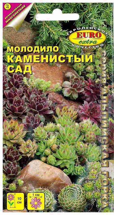картинка Молодило Каменистый сад, смесь 0,005г ц/п (Аэлита)  магазин Одежда+ являющийся официальным дистрибьютором в России 