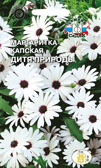 картинка Маргаритка Дитя природы 0,1г ц/п (Седек)  магазин Одежда+ являющийся официальным дистрибьютором в России 