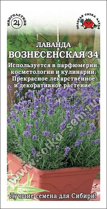 картинка Лаванда Вознесенская 34 0,1г ц/п (З/Сотка) магазин Одежда+ являющийся официальным дистрибьютором в России 
