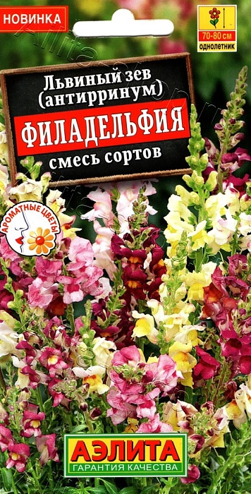 картинка Львиный зев Филадельфия, смесь сортов 0,1г ц/п (Аэлита) магазин Одежда+ являющийся официальным дистрибьютором в России 