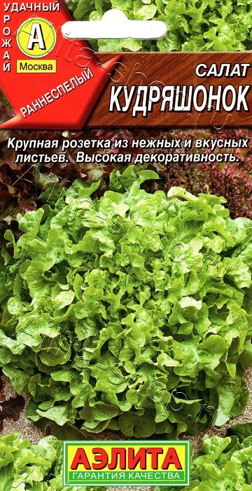 картинка Салат Кудряшонок 0,5г ц/п (Аэлита) магазин Одежда+ являющийся официальным дистрибьютором в России 