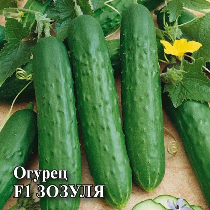 картинка Огурец Зозуля F1 7шт ц/п (ПрСидс) магазин Одежда+ являющийся официальным дистрибьютором в России 