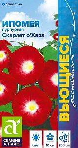 Ипомея Скарлет О Хара 0,5г ц/п (СемАлт)