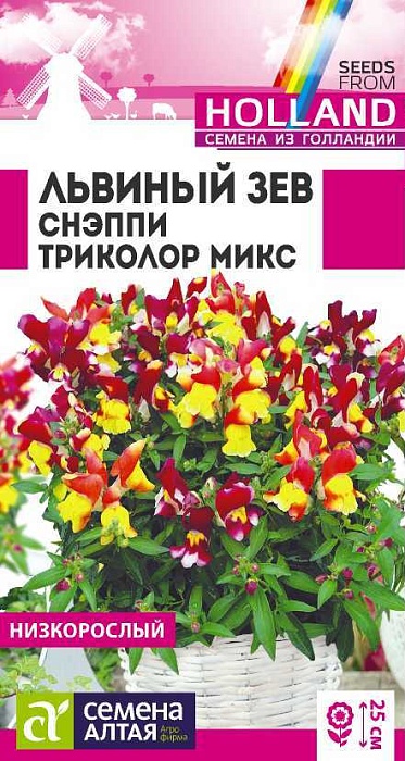 картинка Львиный зев Снэппи Триколор микс 7шт ц/п (СемАлт) магазин Одежда+ являющийся официальным дистрибьютором в России 