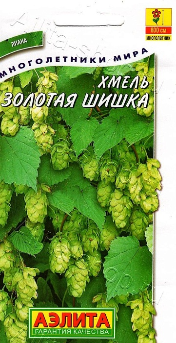 картинка Хмель Золотая шишка ц/п *(Аэлита)  магазин Одежда+ являющийся официальным дистрибьютором в России 
