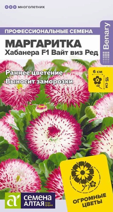 картинка Маргаритка Хабанера F1 Вайт виз Ред 5шт ц/п (СемАлт)  магазин Одежда+ являющийся официальным дистрибьютором в России 