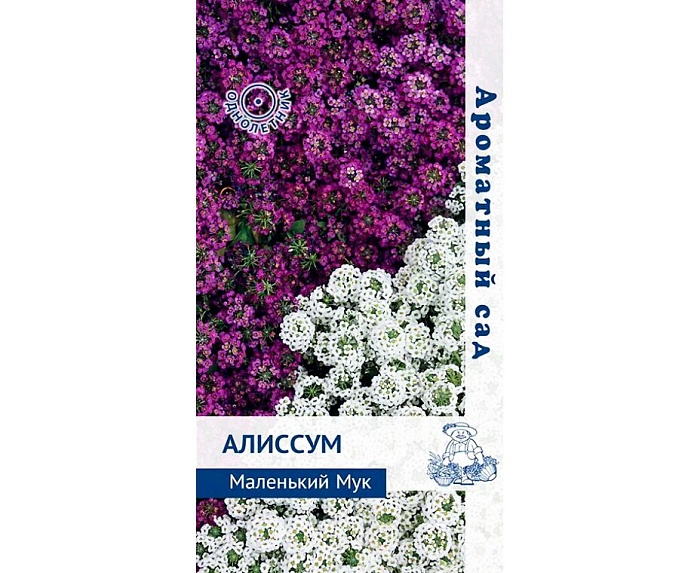 картинка Алиссум Маленький мук, смесь 0,3г ц/п (Поиск) 15см серия Аромат.сад магазин Одежда+ являющийся официальным дистрибьютором в России 