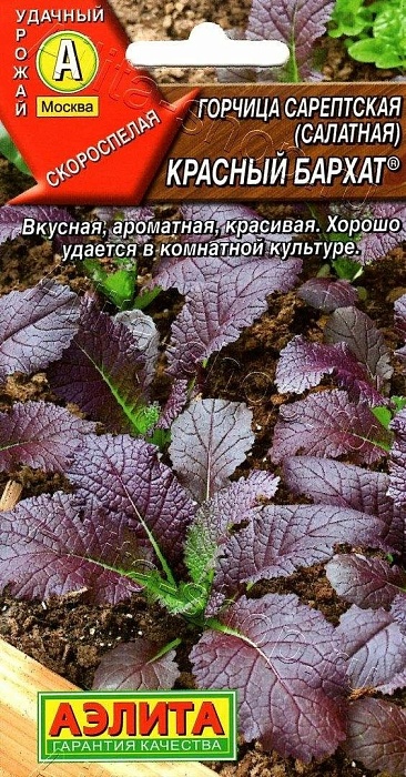 картинка Горчица Красный бархат салатная 0,5г ц/п (Аэлита)  магазин Одежда+ являющийся официальным дистрибьютором в России 