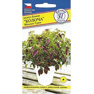 Колеус Колоча Шоклит Грин 5шт (Престиж)