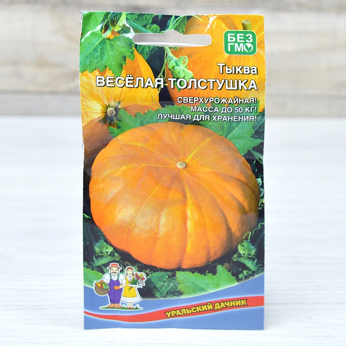 картинка Тыква Весёлая Толстушка 6шт ц/п (УД) до 50кг магазин Одежда+ являющийся официальным дистрибьютором в России 