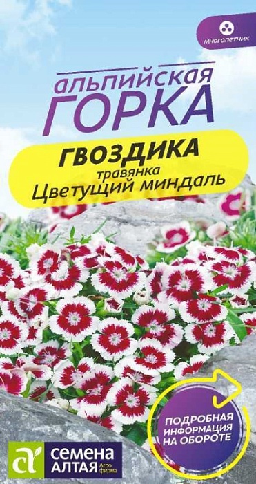 картинка Гвоздика травянка Цветущий Миндаль 0,05г ц/п (СемАлт) Альп.горка магазин Одежда+ являющийся официальным дистрибьютором в России 