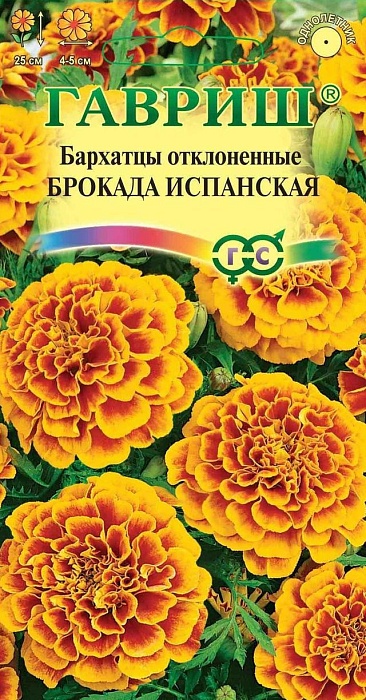 картинка Бархатцы Брокада испанская 0,3г ц/п (Гавриш) 25см 4-5см откл. магазин Одежда+ являющийся официальным дистрибьютором в России 