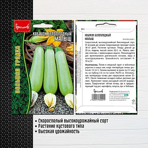 Кабачок Малыш 15шт (Григорьев)