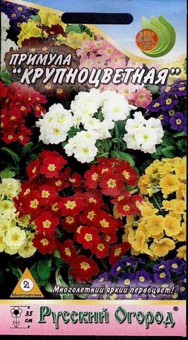 картинка Примула Крупноцветная смесь 0,05г ц/п (НК) магазин Одежда+ являющийся официальным дистрибьютором в России 
