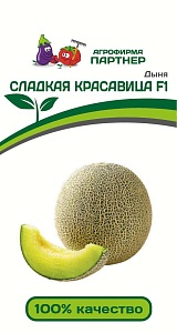 Дыня Сладкая Красавица 5шт (Партнер)