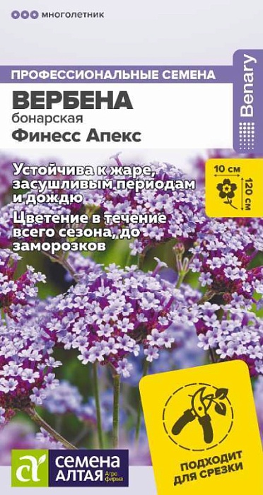 картинка Вербена Финесс Апекс бонарская 0,05г ц/п (СемАлт)  магазин Одежда+ являющийся официальным дистрибьютором в России 