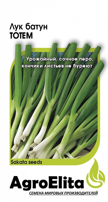 картинка Лук батун Тотем 0,5г (Агроэлита) на зелень! магазин Одежда+ являющийся официальным дистрибьютором в России 