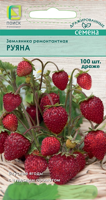 картинка Земляника Руяна 100шт ц/п (Поиск) ремонтантная магазин Одежда+ являющийся официальным дистрибьютором в России 