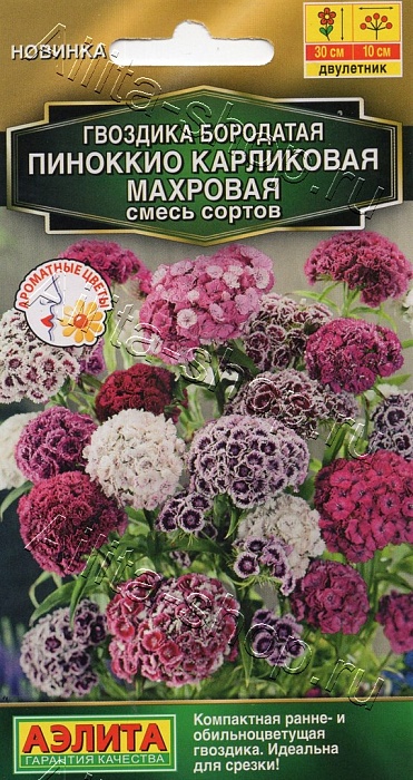 картинка Гвоздика турецкая Пиноккио, карликовая махровая 0,1г ц/п (Аэлита) Новинка магазин Одежда+ являющийся официальным дистрибьютором в России 