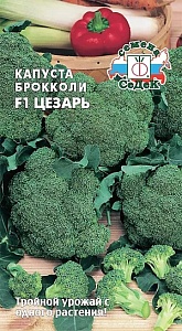 Капуста брокколи Цезарь F1 0,3г б/п (Седек) 