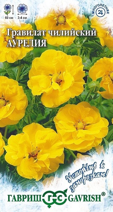 картинка Гравилат Аурелия чилийский ц/п (Гавриш) Уст.к заморозкам магазин Одежда+ являющийся официальным дистрибьютором в России 