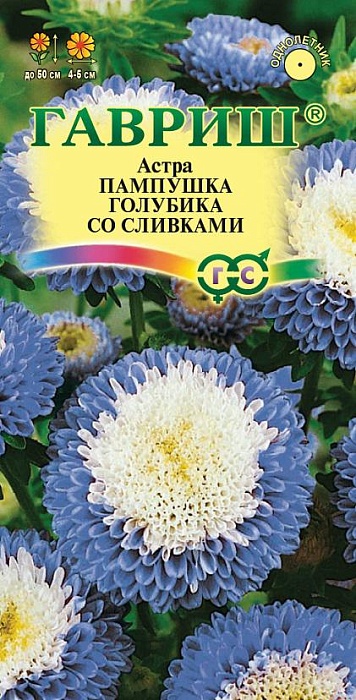 картинка Астра Пампушка голубика со сливками 0,3г ц/п (Гавриш) магазин Одежда+ являющийся официальным дистрибьютором в России 