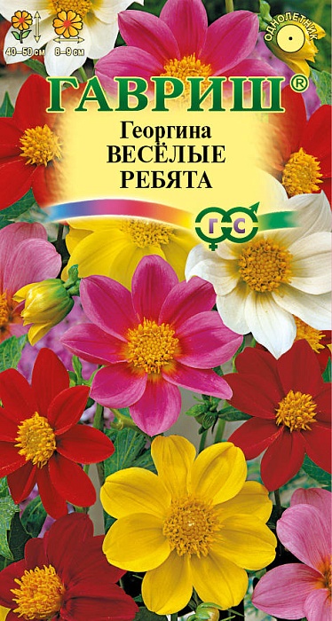 картинка Георгина Веселые ребята 0,3г ц/п (Гавриш) 40-50см магазин Одежда+ являющийся официальным дистрибьютором в России 