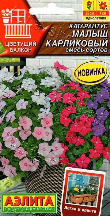 картинка Катарантус Малыш карликовый, смесь 0,05г ц/п (Аэлита) магазин Одежда+ являющийся официальным дистрибьютором в России 