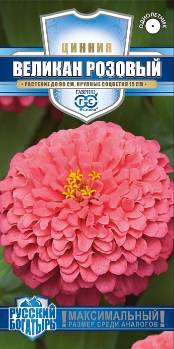 картинка Цинния Великан Розовый 0,3г ц/п (Гавриш) Рус.богатырь  магазин Одежда+ являющийся официальным дистрибьютором в России 