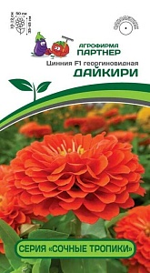Цинния Дайкири F1 4шт (Партнер)