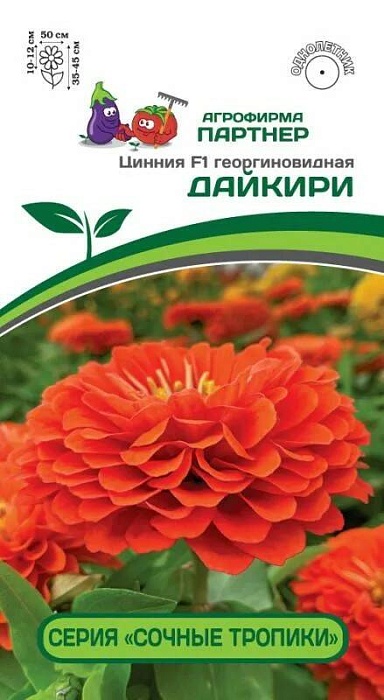 картинка Цинния Дайкири F1 4шт (Партнер) магазин Одежда+ являющийся официальным дистрибьютором в России 
