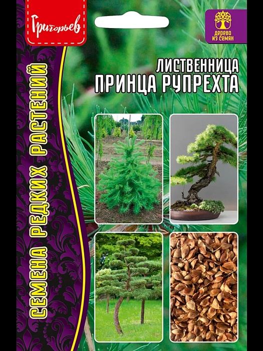 картинка Лиственница Принца Рупрехта 15шт (Григорьев) магазин Одежда+ являющийся официальным дистрибьютором в России 