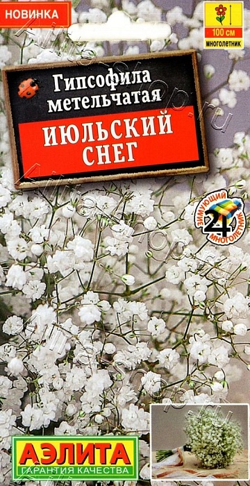 картинка Гипсофила Июльский снег, махровая 0,05г ц/п (Аэлита) магазин Одежда+ являющийся официальным дистрибьютором в России 