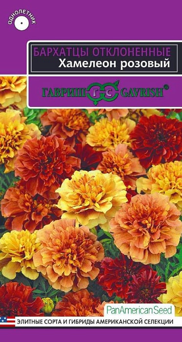 картинка Бархатцы Хамелион розовый 5шт ц/п (Гавриш) отклон. магазин Одежда+ являющийся официальным дистрибьютором в России 
