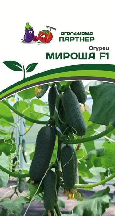 картинка Огурец Мироша F1 10шт (Партнер) магазин Одежда+ являющийся официальным дистрибьютором в России 