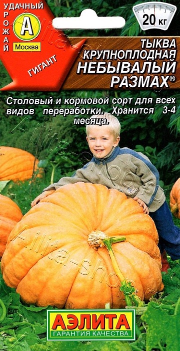 картинка Тыква Небывалый размах 2г ц/п (Аэлита)  магазин Одежда+ являющийся официальным дистрибьютором в России 