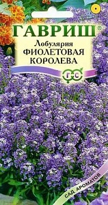Лобулярия Фиолетовая королева 0,05г ц/п (Гавриш) Сад ароматов