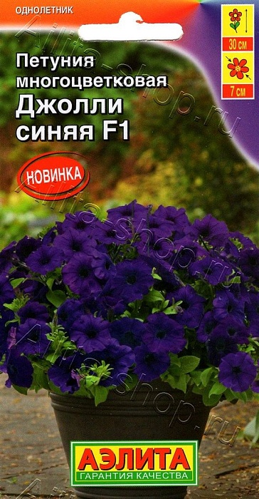 картинка Петуния Джолли F1 синяя 7шт ц/п (Аэлита) суперкомпактная магазин Одежда+ являющийся официальным дистрибьютором в России 