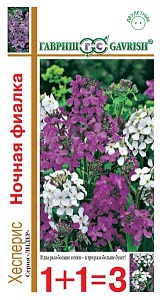 Вечерница Ночная фиалка, смесь (хесперис) 0,4г серия 1+1 ц/п (Гавриш) 80см