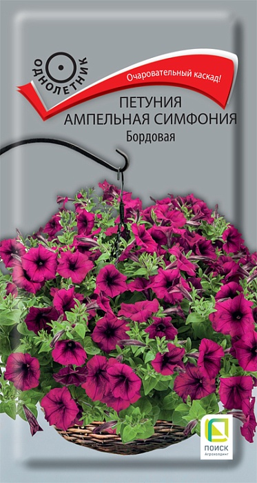картинка Петуния Симфония Бордовая ампельная 0,01г ц/п (Поиск) магазин Одежда+ являющийся официальным дистрибьютором в России 