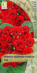 Примула Розелла Ред махровая 5шт ц/п (Поиск)