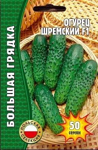Огурец Шремский F1 50шт (Григорьев) Польск.селекция