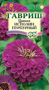 Цинния Исполин пурпурный 0,3г ц/п (Гавриш)